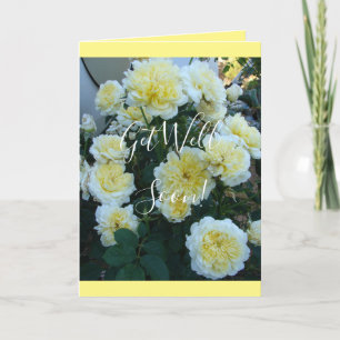 Carte Jaune David Austin Rose Rose fleurs de jardin Cart