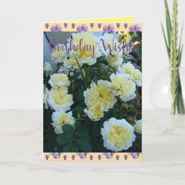Carte Jaune David Austin Rose Rose Jardin Anniversaire (Devant)