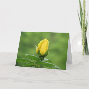 Carte jaune de bouton de rose