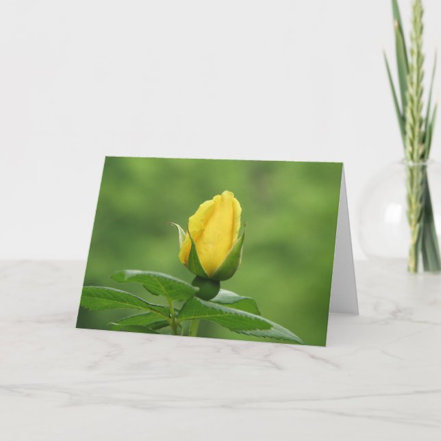 Carte jaune de bouton de rose (Devant)