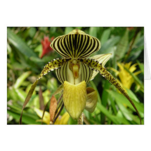 Carte jaune de fleur d'orchidée