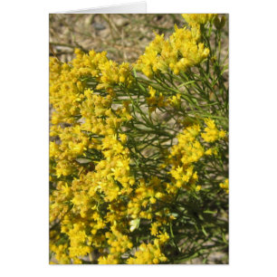 Carte jaune de fleur sauvage de prairie