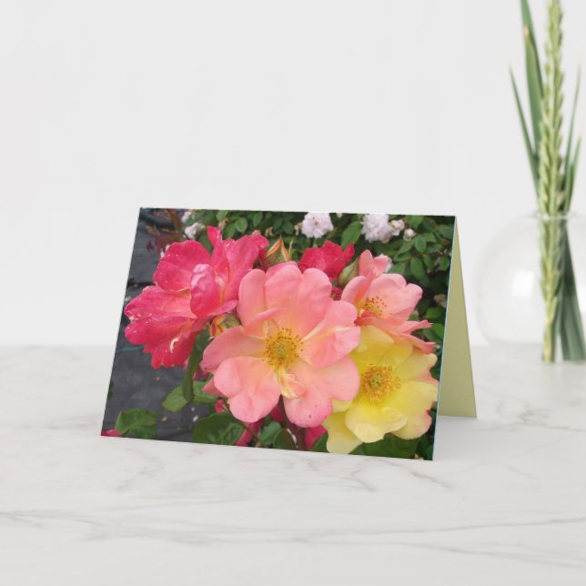 Carte Jaune rouge Rose Vintage Fleurs Roses Anniversaire (Devant)