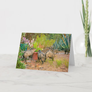 Carte Javelinas à la Casita