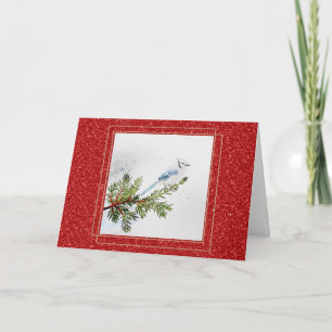 Carte Jay bleu sur une branche de pin Noël