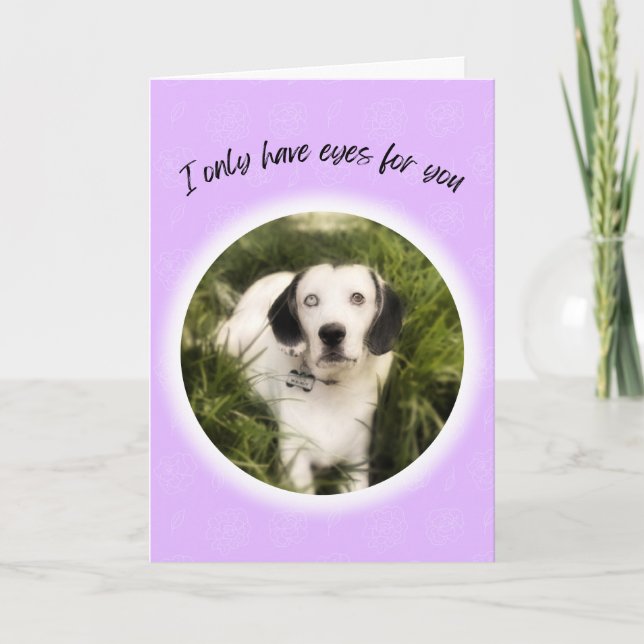 Carte Je n'ai que des yeux pour toi mignon chien Valenti (Devant)