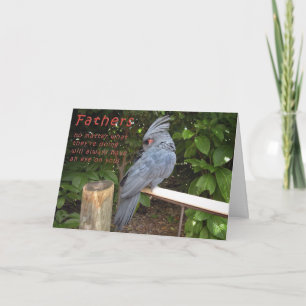 Carte Je regarde mon dos