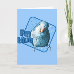 Carte Je suis Blue Quaker Parakeet Card