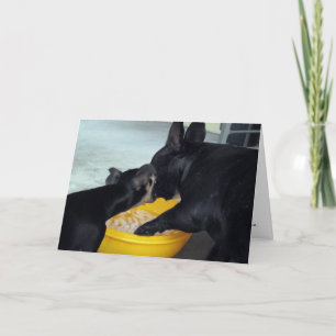 Carte Je suis désolé