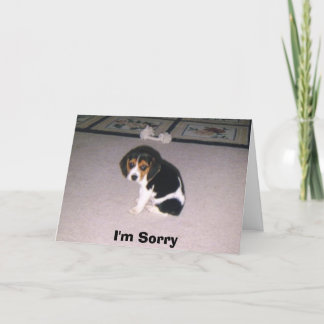 Carte Je suis désolé
