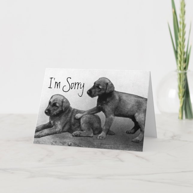 Carte Je suis désolé - des amis de chiot (Devant)