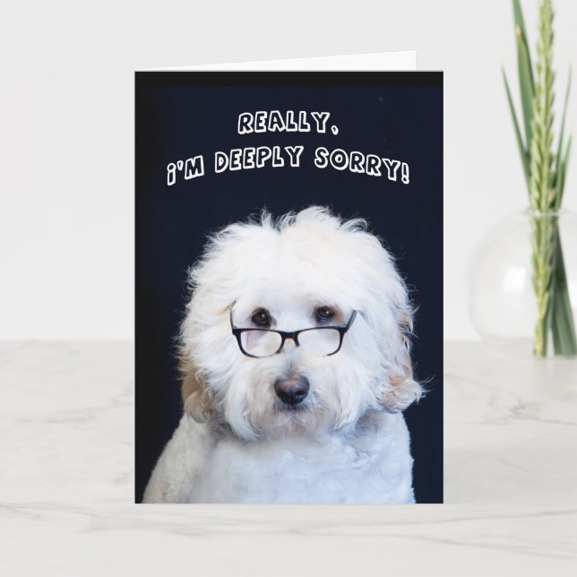 CARTE JE SUIS DÉSOLÉ - HUMOUR AVEC CHIEN/VERRE NOIR-RIM (Devant)