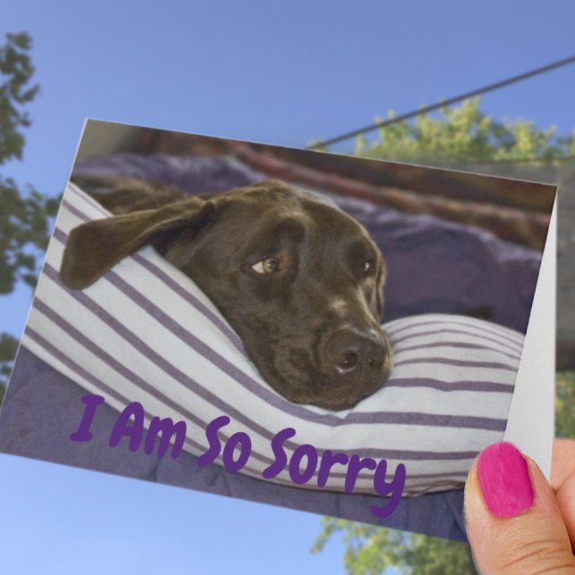 Carte Je Suis Désolé Labrador Retriever Anniversaire (Créateur téléchargé)