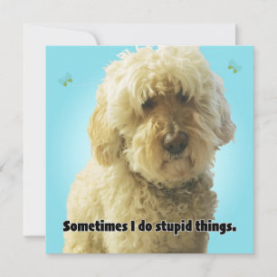 Carte Je suis désolé, parfois je fais des choses stupide