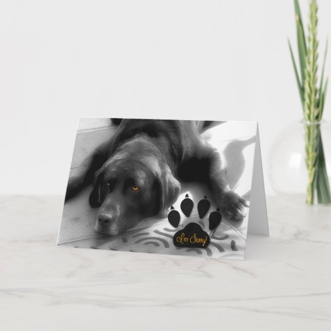 Carte Je suis désolé Verse drôle avec un mignon chien du (Devant)