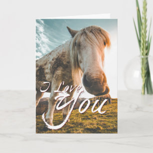 Carte Je t'aime avec cheval regardant