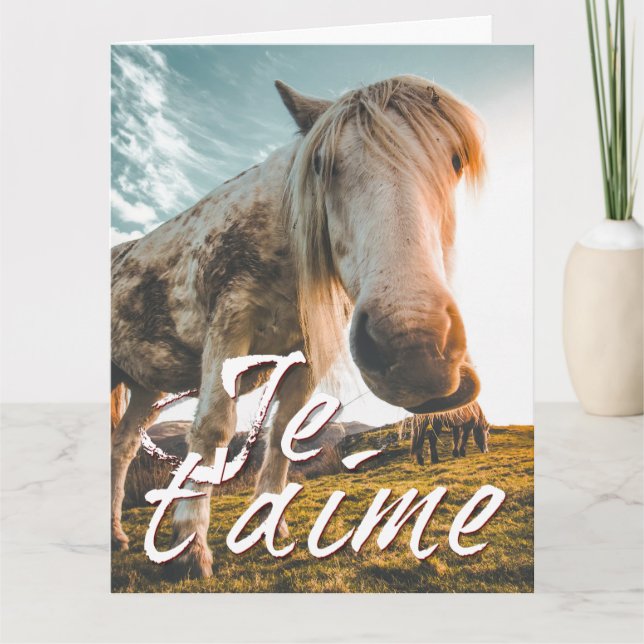 Carte Je t'aime avec regardé cheva (Devant)