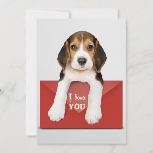 Carte Je T'Aime... Chiot beagle