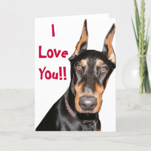 Carte Je T'Aime ! ! Doberman 