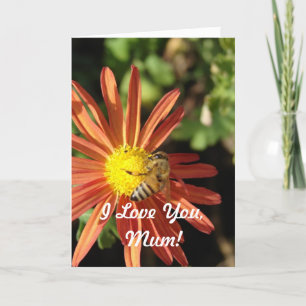 Carte Je T'Aime, Maman, Fête Des Mères