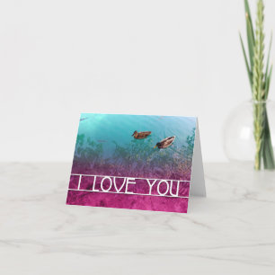 Carte je t'aime : paire de canards
