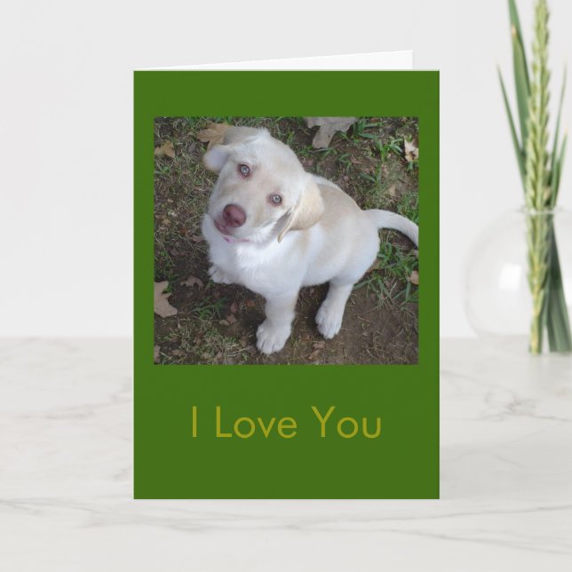 Carte Je t'aime - Tu es mon être humain préféré (Devant)