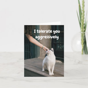 Carte Je te tolère drôle de la part du chat