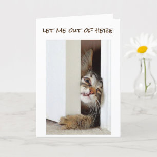 Carte JE VEUX DIRE **HEUREUX 11e ANNIVERSAIRE** à "VOUS"