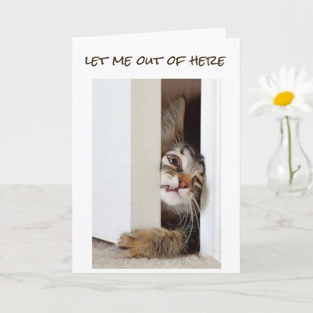Carte JE VEUX DIRE **HEUREUX 16ème ANNIVERSAIRE** À "VOU (Petite plante)
