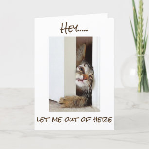 CARTE JE VEUX DIRE **HEUREUX ANNIVERSAIRE** À "VOUS" MAI