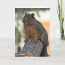 Je viens juste d'aller voir Say Hi