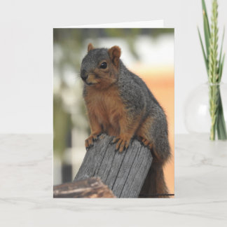 Carte Je viens juste d'aller voir Say Hi