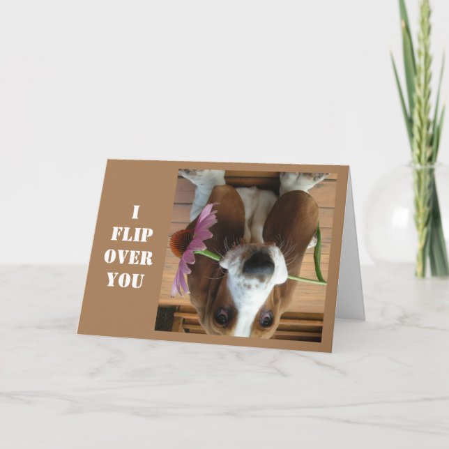 CARTE * JE VOUS SURVOLE* LE MARDI VOUS MONTRE COMBIEN JE (Devant)