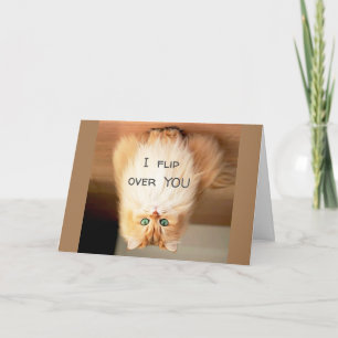 CARTE * JE VOUS SURVOLE* LE MARDI VOUS MONTRE COMBIEN JE