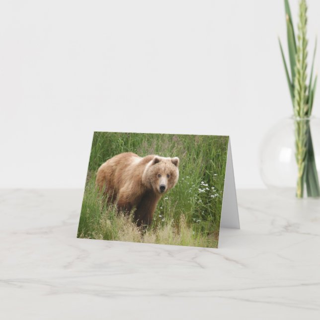 Carte Je vous vois regarder l'ours (Devant)