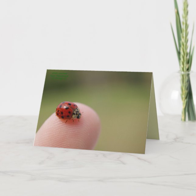 Carte J'entends que tu as attrapé un bourreau (Devant)