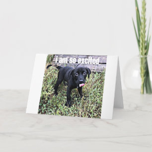 CARTE J'ENVOIE UN SOURIRE ET JE DIS ***FÉLICITATIONS***