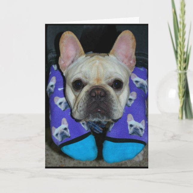 Carte J'Espère Que Votre Noël Est Joyeux Pour Les Chiens (Devant)
