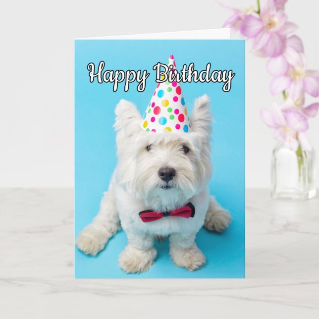 Carte J'Espère Que Vous Avez Un Joyeux Anniversaire (Orchidée)