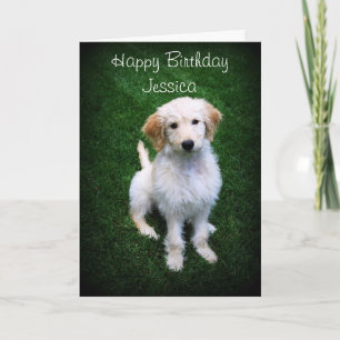 Carte Jessica Joyeux Anniversaire Chiot de Doodle d'Or