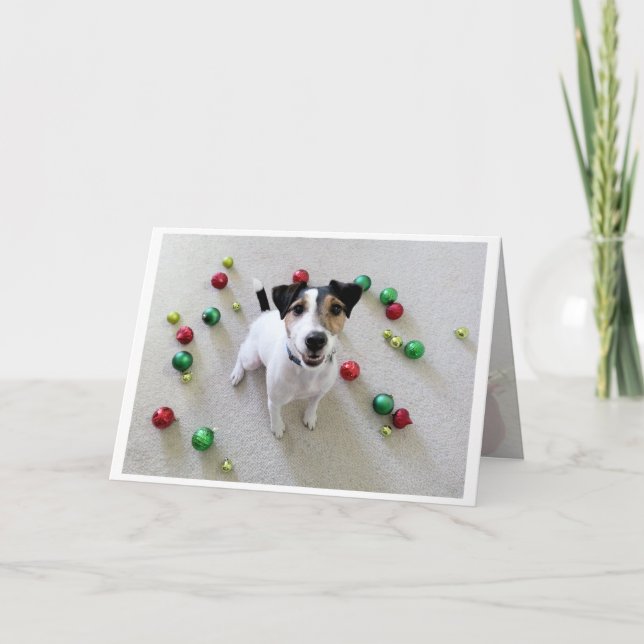 Carte jetée en l'air de Jack Russell Terrier (Devant)