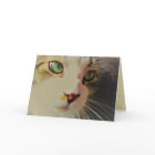 Jetez un coup d'oeil Chat aux yeux verts