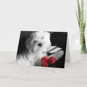 Carte Jeu de chiot