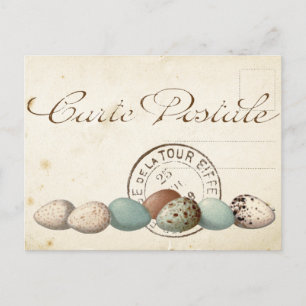 Carte Jeu d'oiseaux postaux 1 sur 4 (Oeufs de marq
