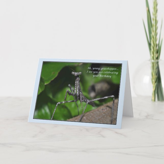 Carte Jeune sauterelle prier mante Anniversaire kung fu (Devant)