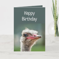 Jeune une fois votre tour sur le jugement Ostrich