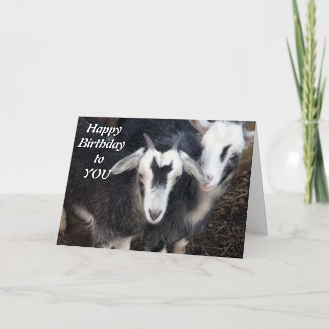 CARTE JEUX ANNIVERSAIRE DE HAPPY PIGMY CHÈTE COUPLE (Devant)