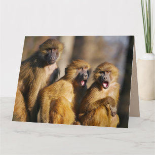 CARTE JEUX ANNIVERSAIRE DES TROIS 3 DE NOUS MONKEY