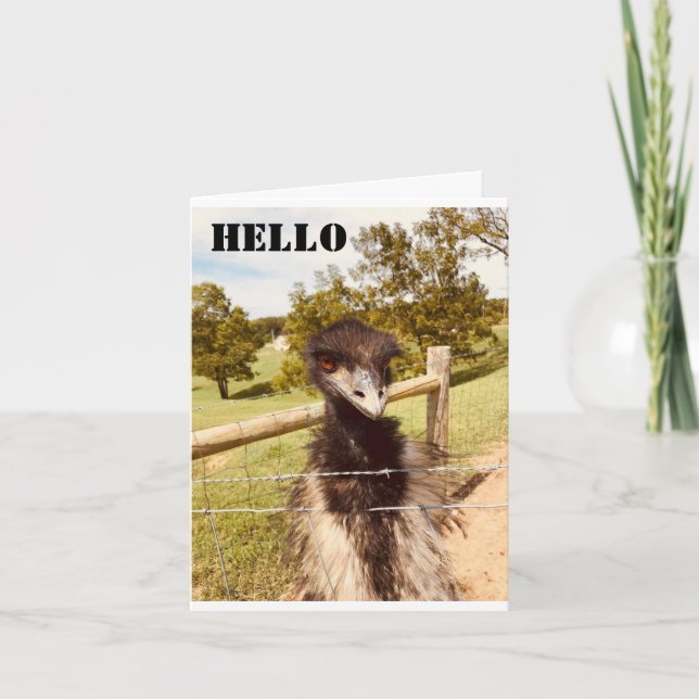 CARTE "JEUX ANNIVERSAIRE" DIT OSTRICH (Devant)