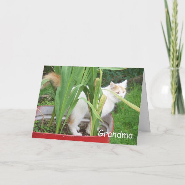 CARTE JEUX ANNIVERSAIRE GRANDMA (Devant)